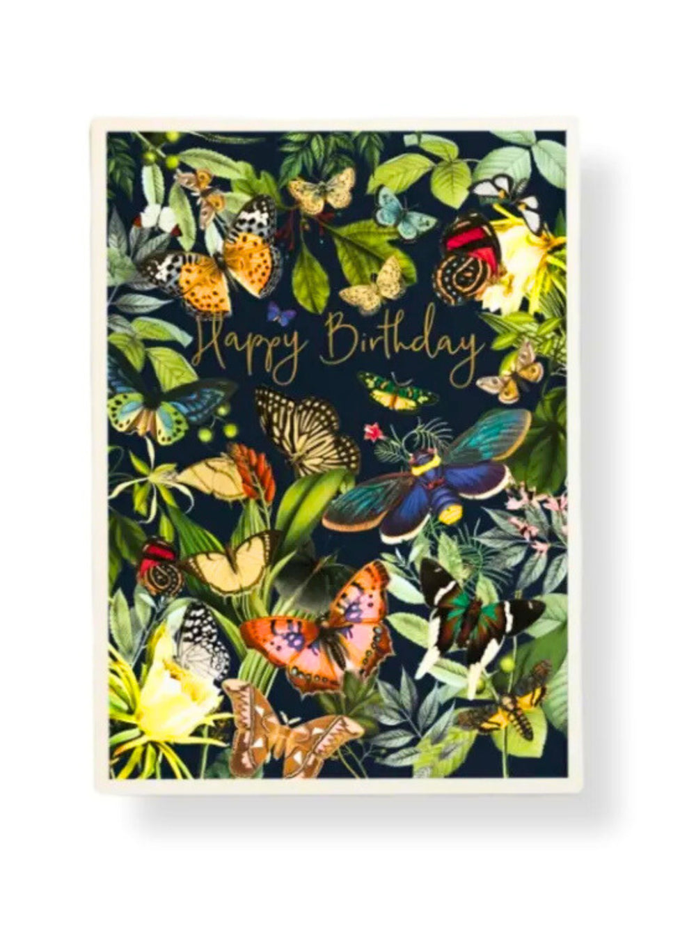 ''Birthday Special'' Frame