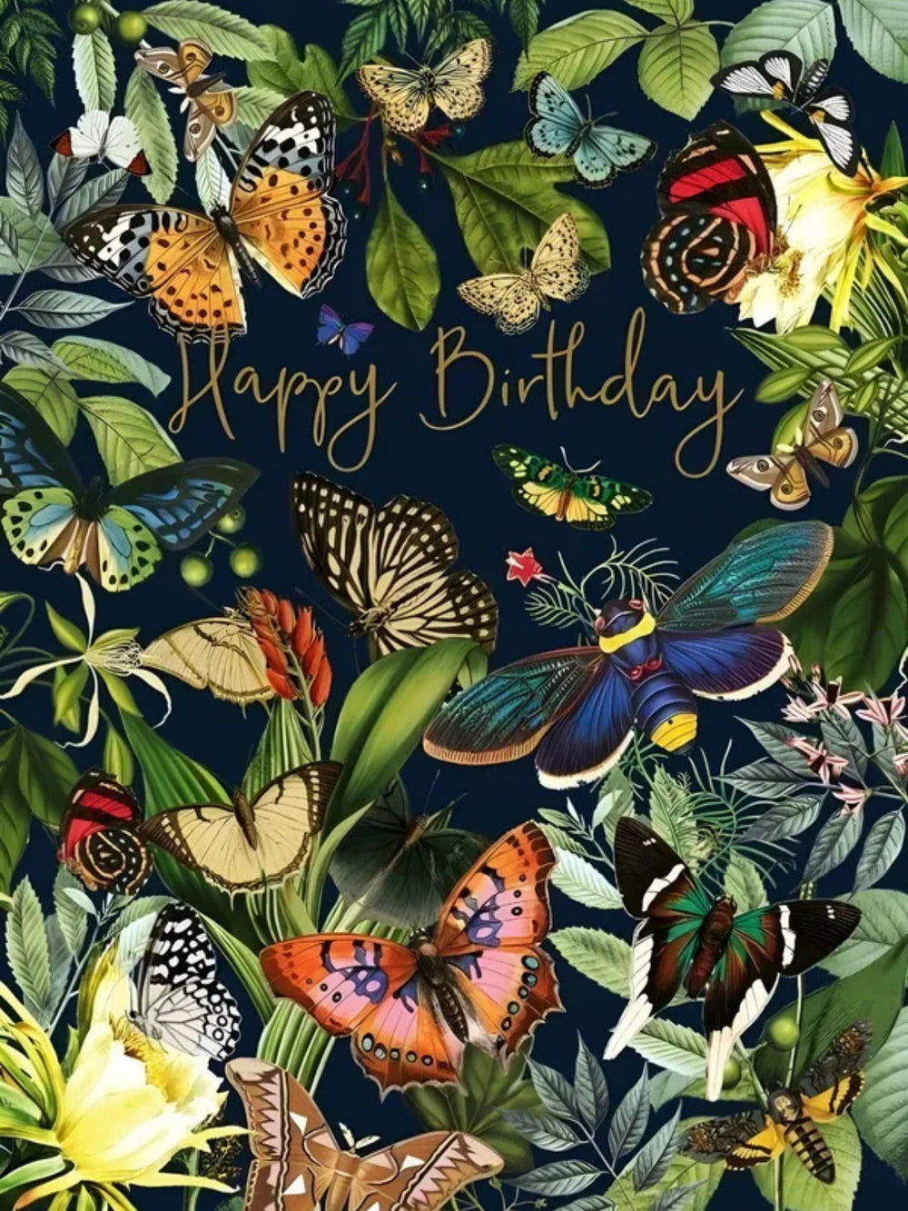 ''Birthday Special'' Frame